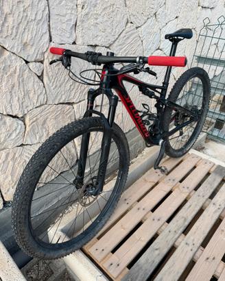 Specialized Epik full