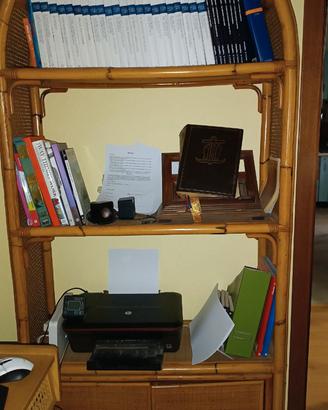 libreria in giunco