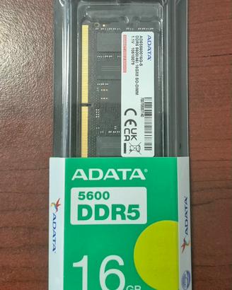 Ram ADATA 5600 DDR5 16 GB