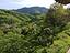 Immagine 13