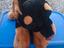 Immagine 1