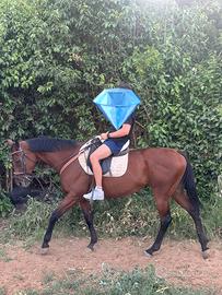 Cavalla da trekking appendix