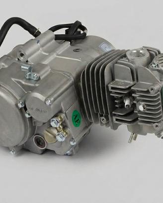 Nuovo MOTORE 140 PITBIKE MINIGP CROSS MOTARD IT