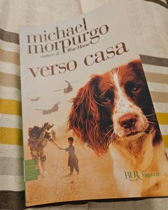 Libro bambino 10-12 anni "Verso casa"