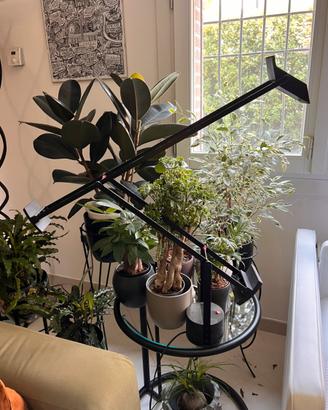 Lampada Artemide TIZIO originale anni 90