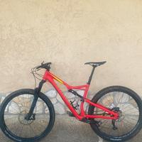 Specialized 29