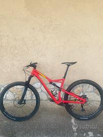 Specialized 29