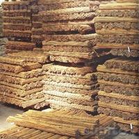 N' 50 Canne Bamboo Bambù cm 122