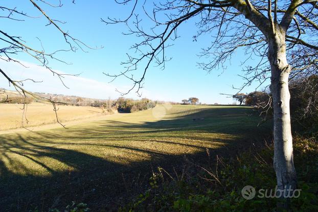 TERRENO A VALLEFOGLIA