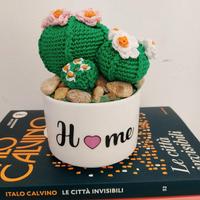 Pianta uncinetto cactus amigurumi fiori