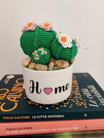 Pianta uncinetto cactus amigurumi fiori