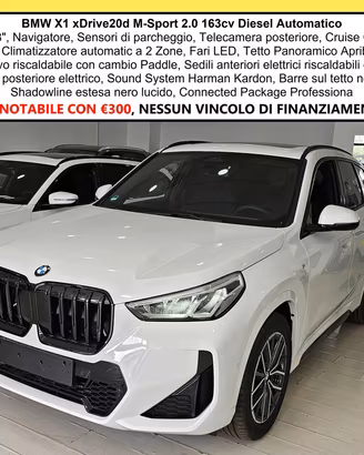BMW X1 20d xDrive MSport Tetto Navi C.18" Cam M-S