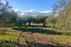 Terreno - Belpasso