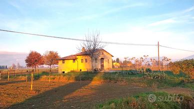 Annesso agricolo con terreno