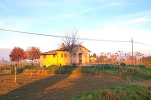Annesso agricolo con terreno