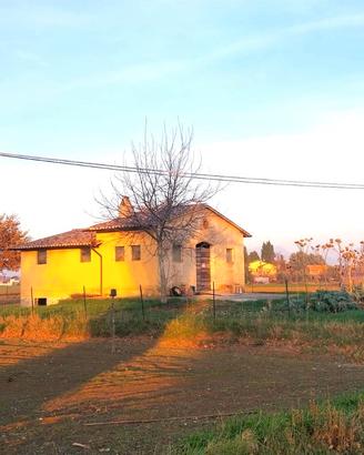 Annesso agricolo con terreno