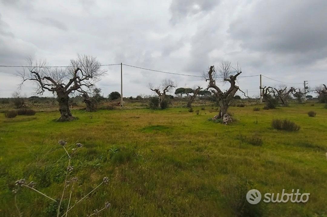 Terreno rustico Gagliano del Capo - Vista 4