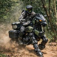 Harley Davidson Pan America Panamerica