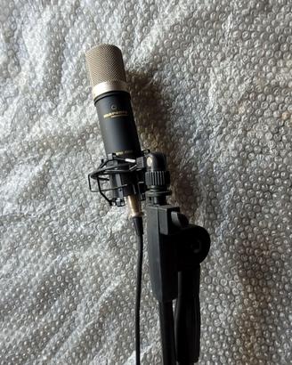 Microfono mpm 1000 marantz