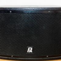 P.Audio 2Line-Sub 8 Presets 122dB 300w RMS 15 kg