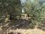 Immagine 26