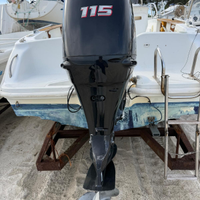 Suzuki 115 cv