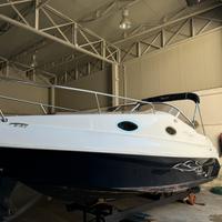 Aquabat sport cruiser 20