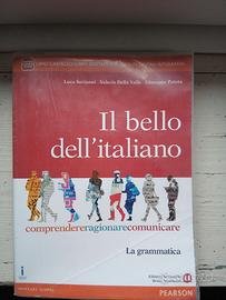 Il bello dell'italiano La grammatica