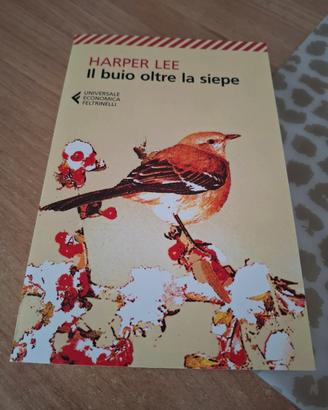 Il buio oltre la siepe libro