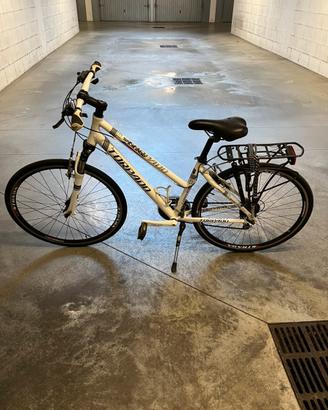 Bicicletta da donna Torpado