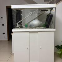 Acquario 200 litri