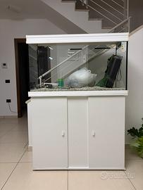 Acquario 200 litri