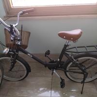 Bicicletta pieghevole 