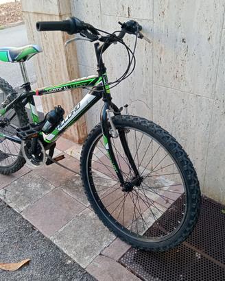 Bicicletta