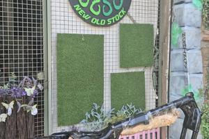 Telaio sportster con foglio demolizione anno 2007 