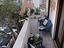 Immagine 11