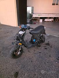 Scoter