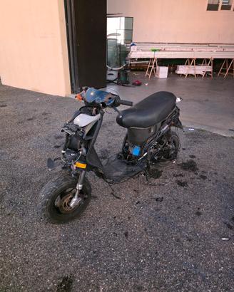 Scoter