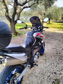 Aprilia Pegaso Strada 2007