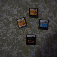 Giochi Nintendo Ds
