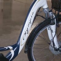 bici elettrica 