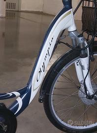 bici elettrica 