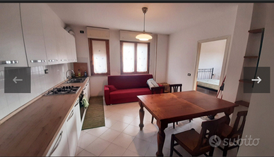 Appartamento 50mq Siena, Isola d'Arbia-Monteroni