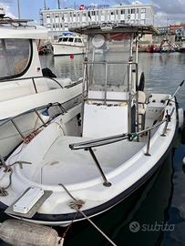 Boston Whaler 17 II Outrage – Mercury EFI 150 CV