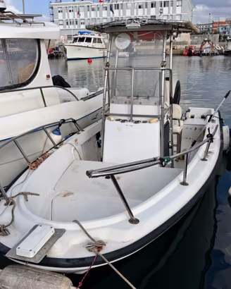 Boston Whaler 17 II Outrage – Mercury EFI 150 CV