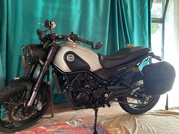 Benelle leoncino trail 500