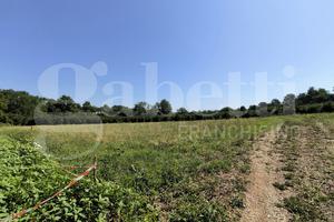 Terreno Agricolo Gallese [Cod. rif 3232736VRG]