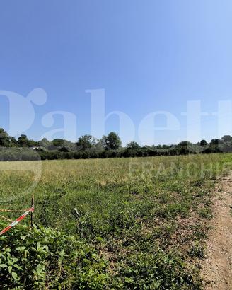 Terreno Agricolo Gallese [Cod. rif 3232736VRG]