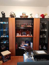 Vetrina da soggiorno