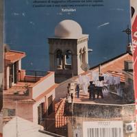 libro IL CAMPO DEL VASAIO-L'ETA' DEL DUBBIO